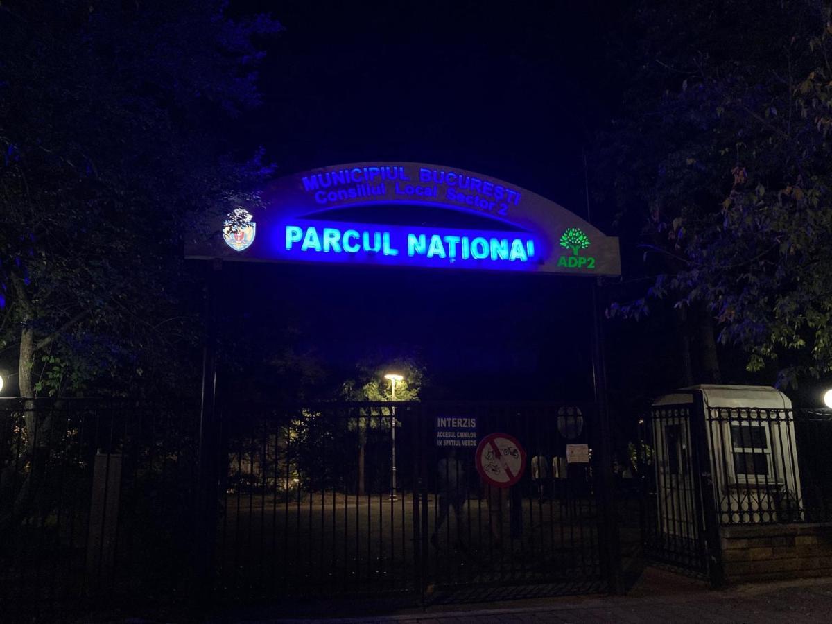 Royal Studio National Arena - Free Parking Bucharest Exterior photo
